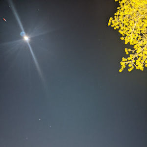 Meet your Posher, Owen